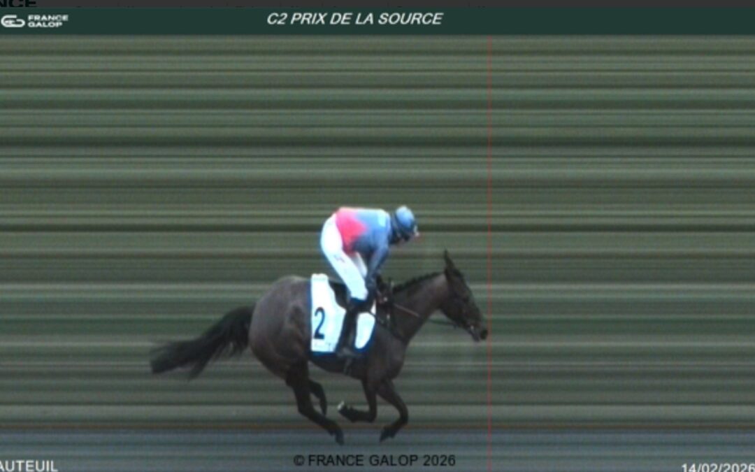 AUCH ÜBER HÜRDEN TOP