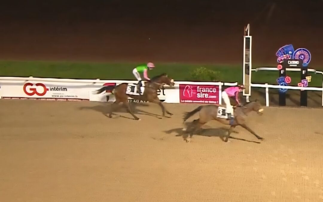 ERNEUT SECHSTER PLATZ