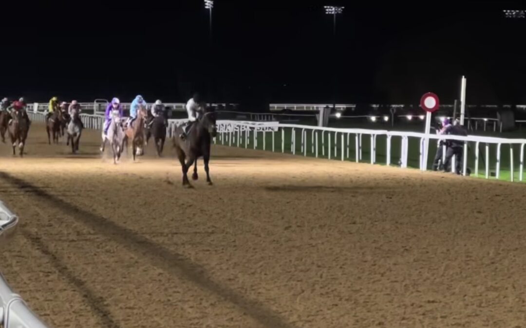 EIN MOMENT FÜR DIE EWIGKEIT