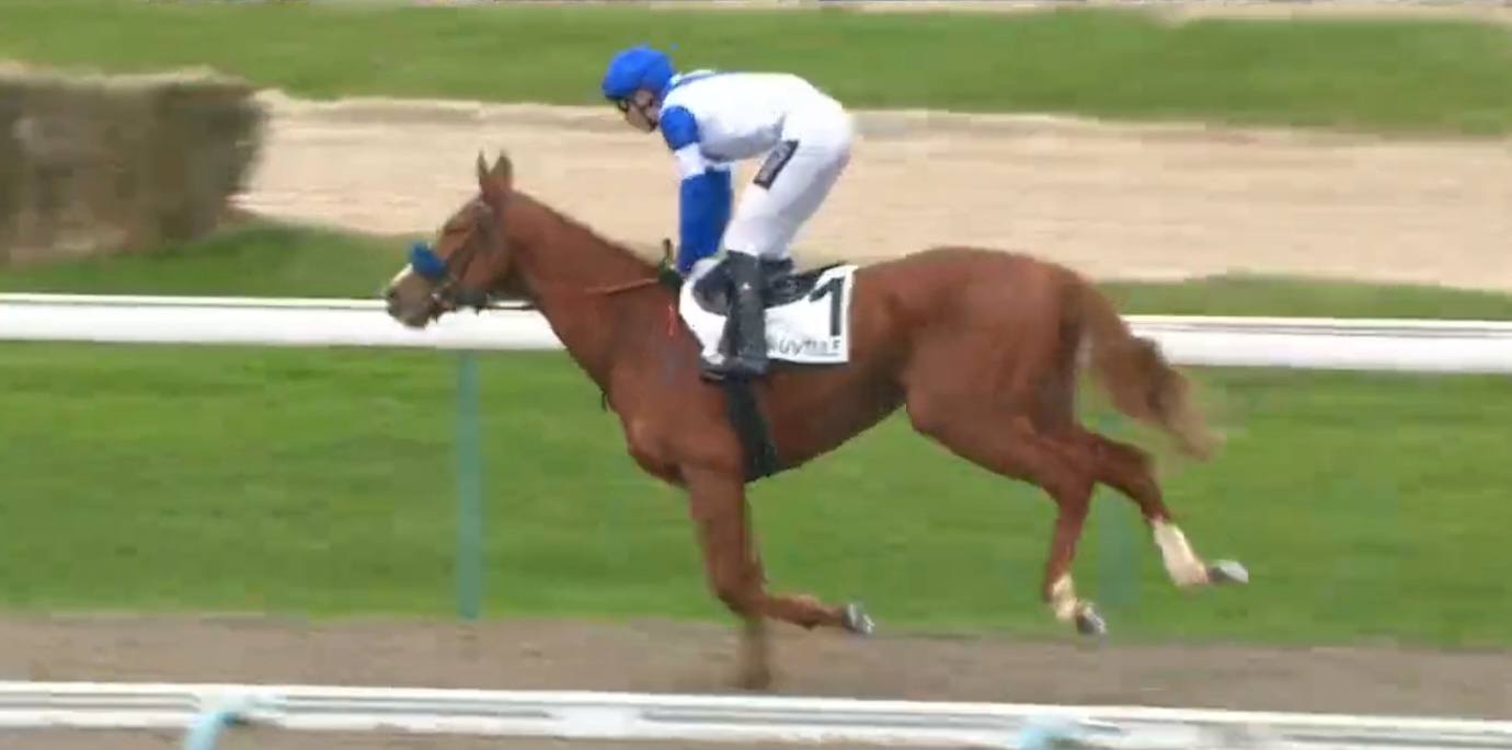 Screenshot_20260223_142431_Samsung Internet