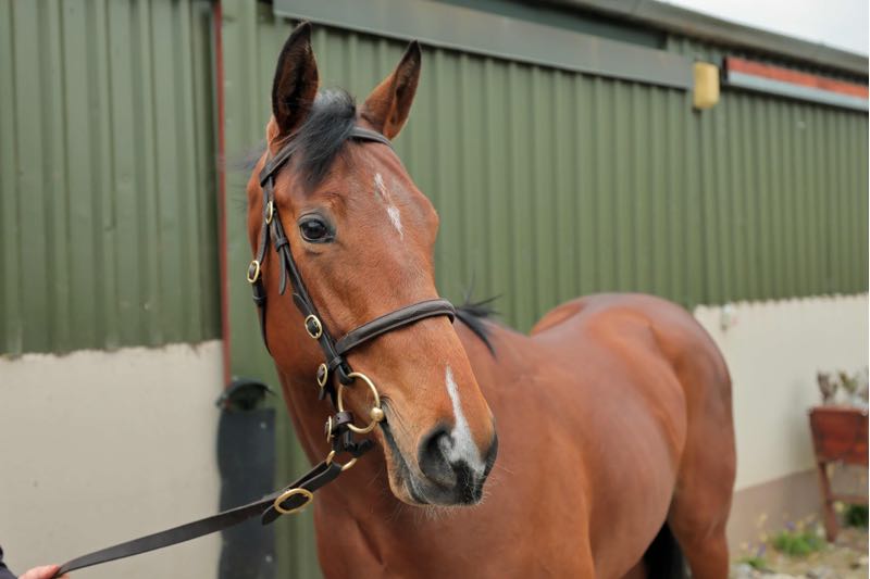 DEBUTANT MIT KLASSIKER IM VISIER