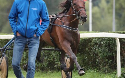 TROTT STATT GALOPP