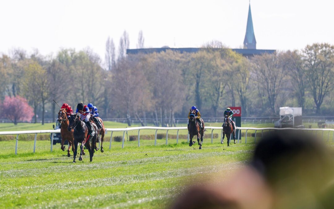 DOPPELSPITZE DRITTER / VIERTER