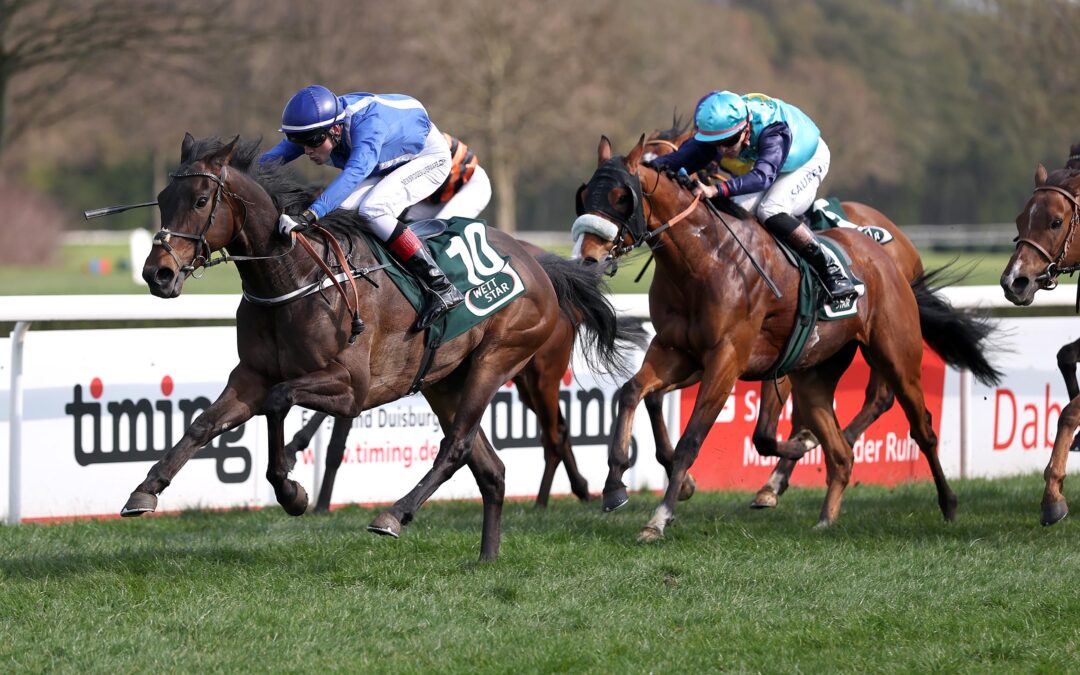 EHRENPLATZ NACH RÜCKKEHR