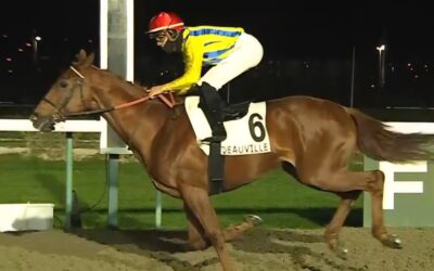 HOFFEN AUF GUTEN RENNVERLAUF