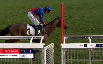 DIESMAL EIN DRITTER PLATZ