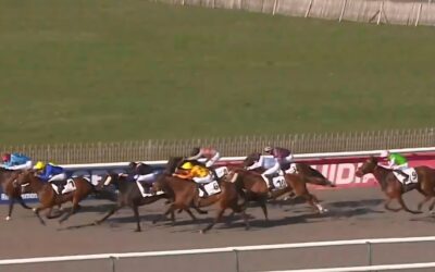 ERNEUT OHNE MÖGLICHKEITEN