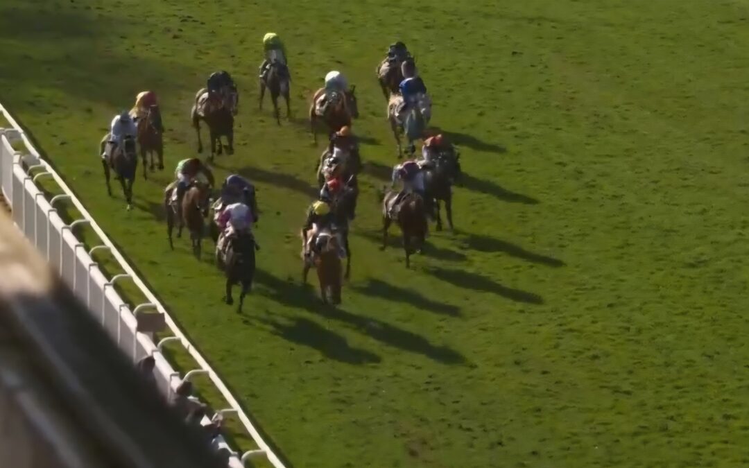 AUCH AUF GRAS KEINE CHANCE