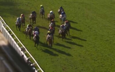 AUCH AUF GRAS KEINE CHANCE