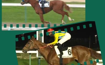 ZWEI WEITERE STARTER IN FRANCE