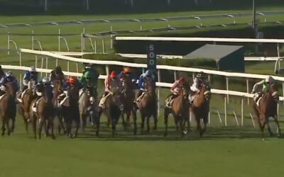 AUCH AUF GRAS OHNE CHANCE