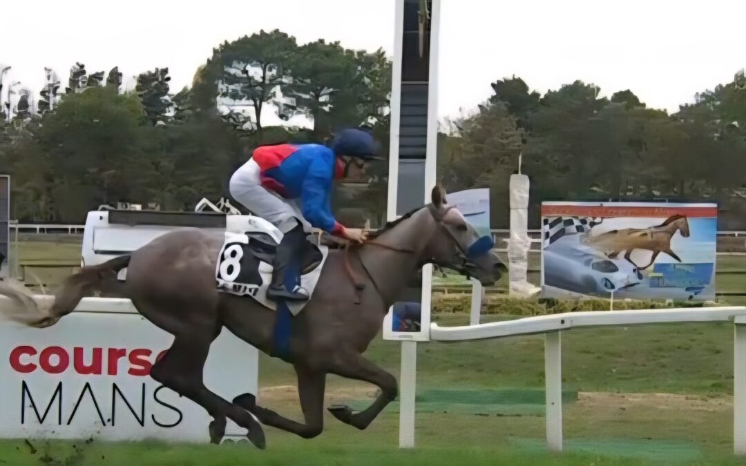 ERSTEN TREFFER IM VISIER