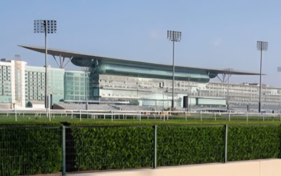 FESTGEFAHREN IN DER WÜSTE