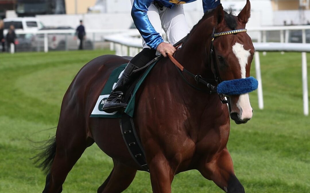 ERNEUT OHNE MÖGLICHKEITEN