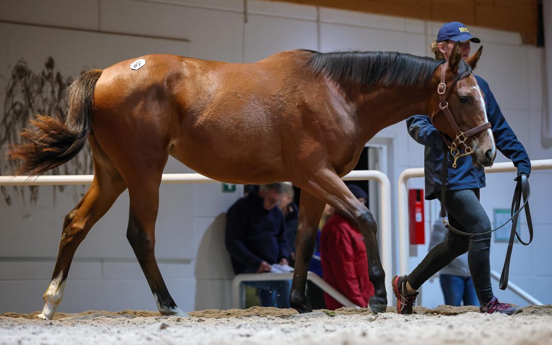 ERSTE ZWEIJÄHRIGE LÄUFT
