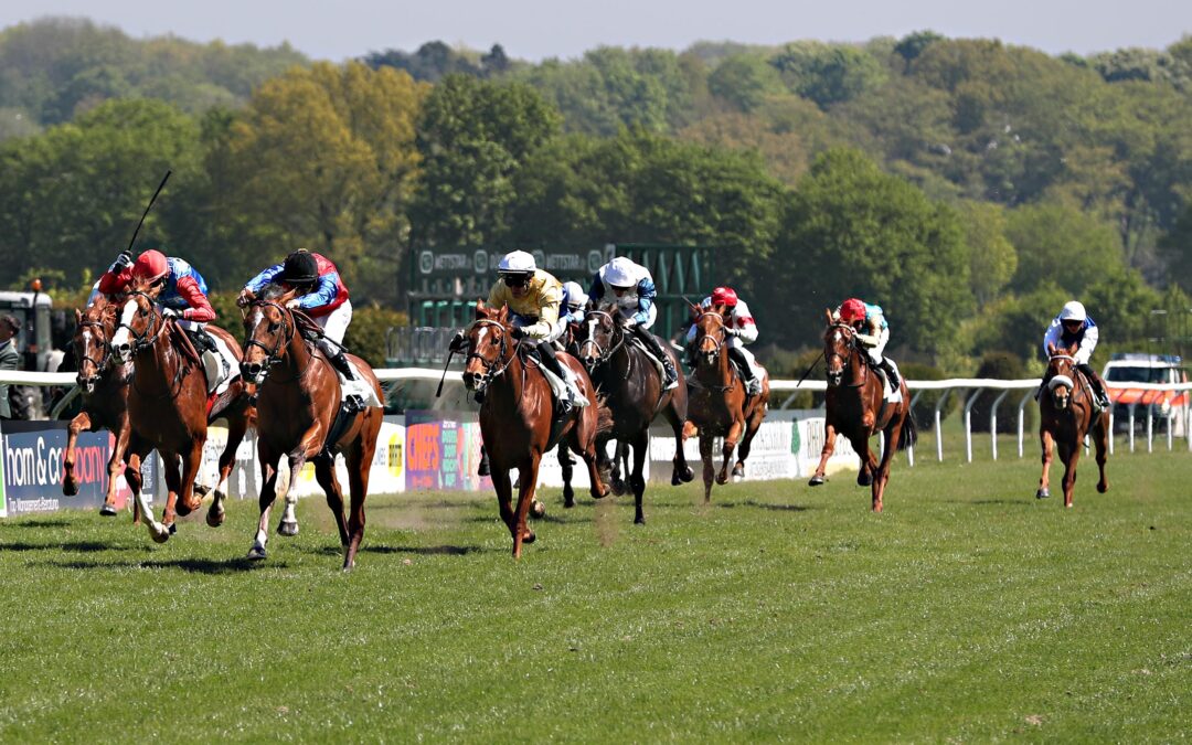 AUS BOX 10 NOCH NICHT SOWEIT