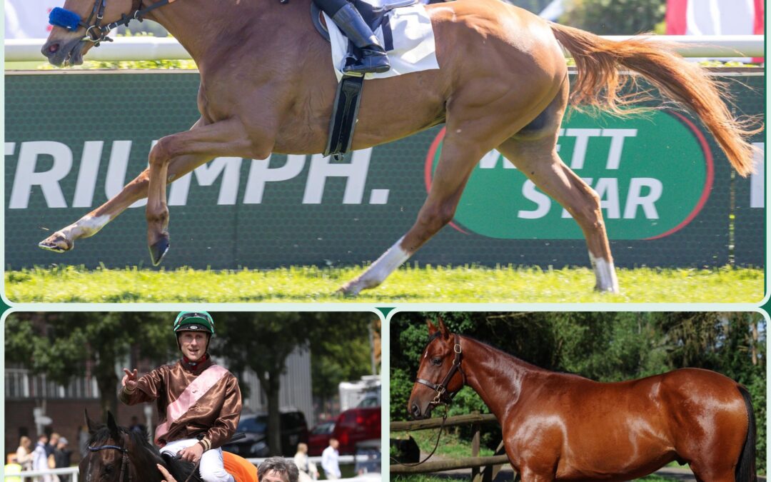 FLATTEN THE CURVE PLUS ZWEI