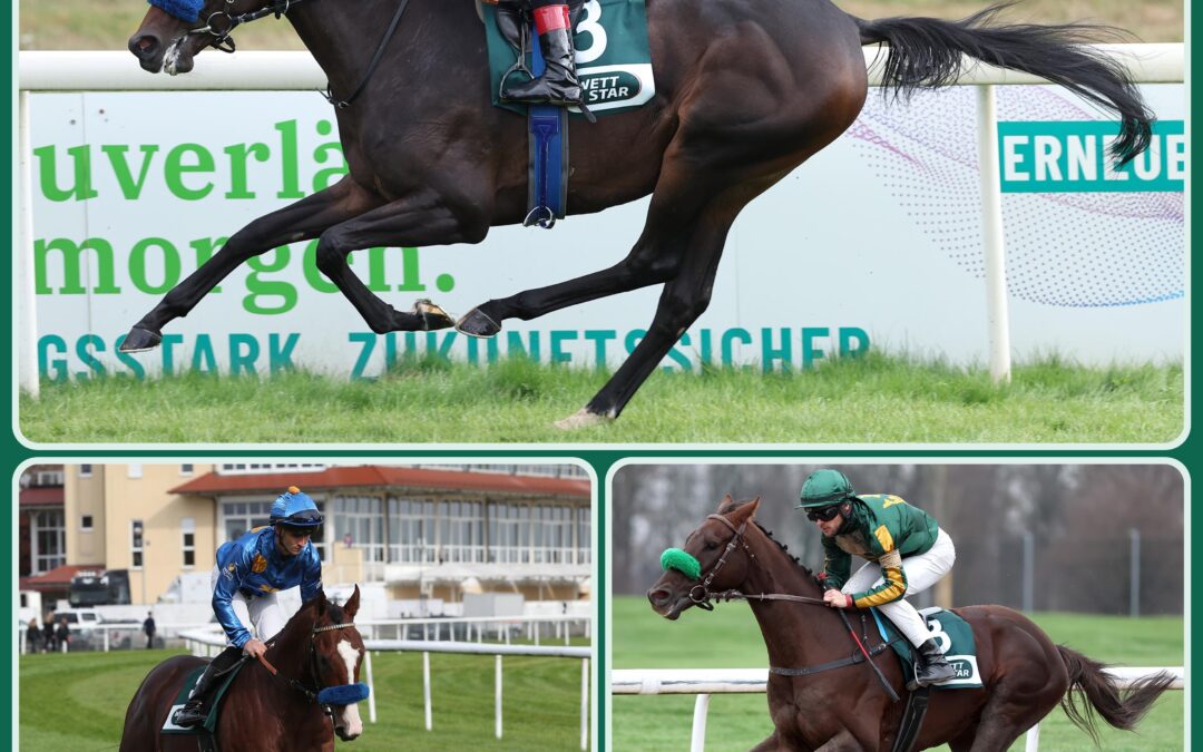 DREI KÖLNER CHANCEN