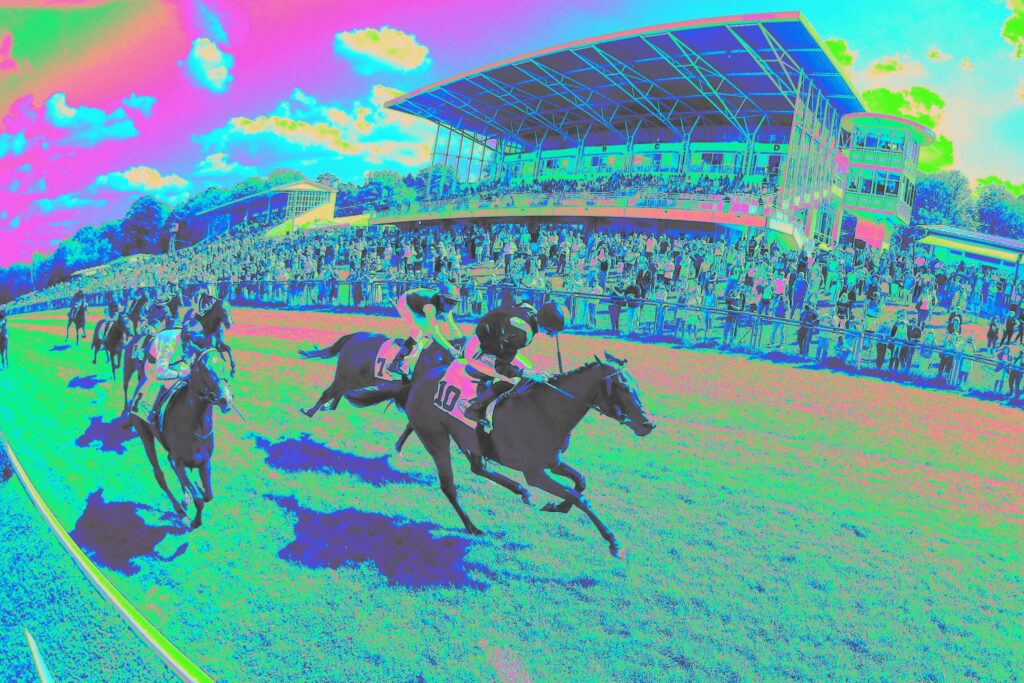 DREIMAL HANDICAP