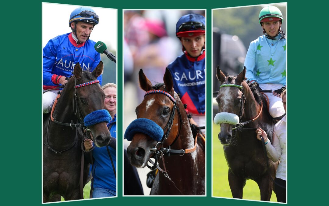 KÖLNER GRUPPE STARTER