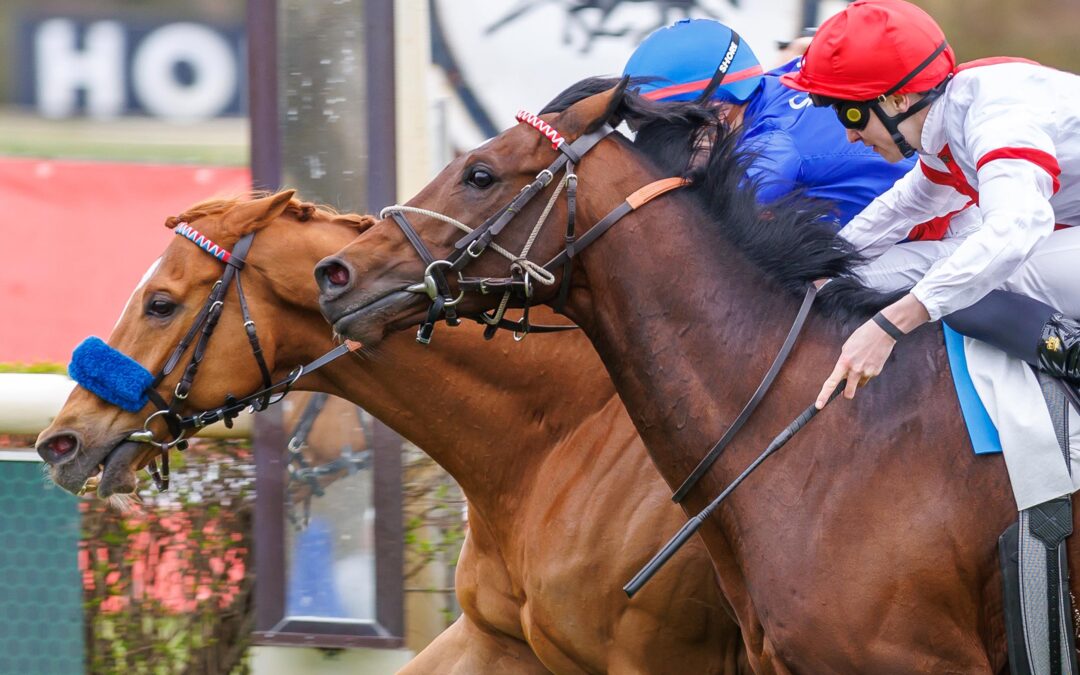 GLEICH ERFOLGREICH ZURÜCK