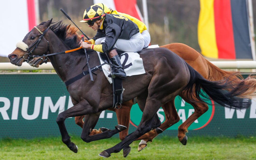 “DEBUT” MIT LISTENSIEG