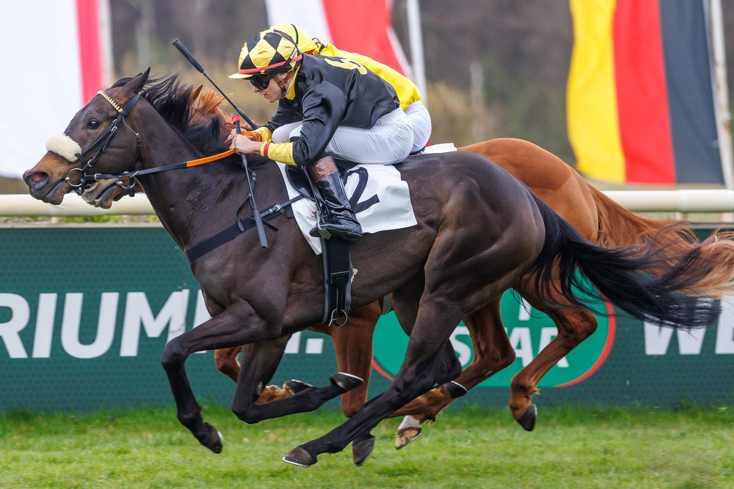 Aster siegt unter Thore Hammer-Hansen im Siedler & Kowalski Malermeister GmbH , Hoppegartener Fillies Mile