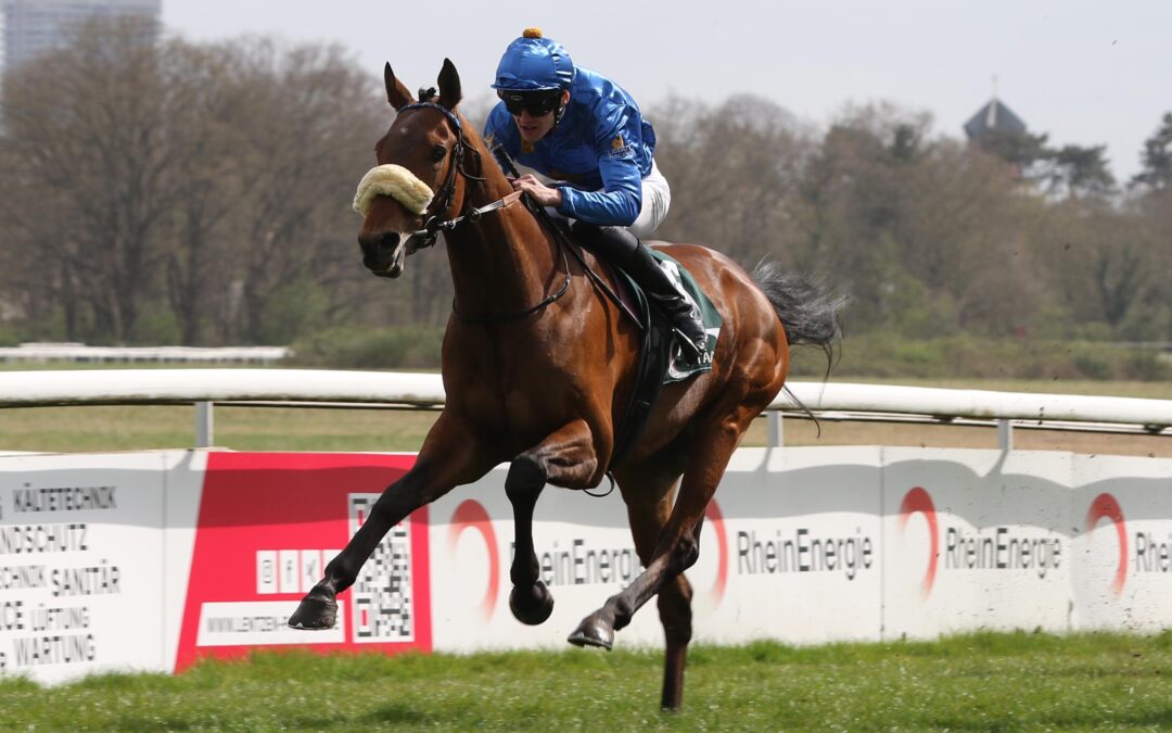 AQUAMAN MIT COME BACK