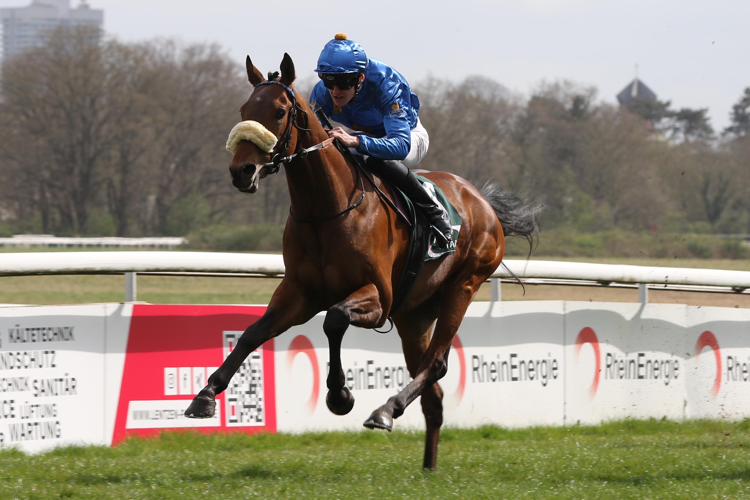 Aquaman siegt unter Leon Wolff