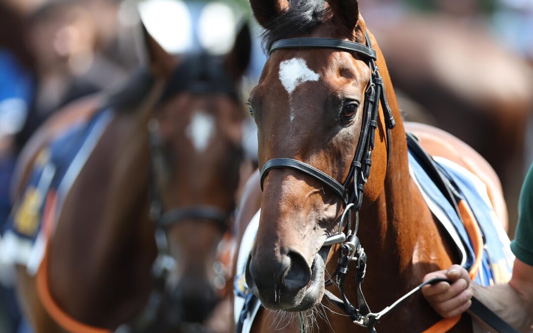 WEITER AUF SIEG WARTEN