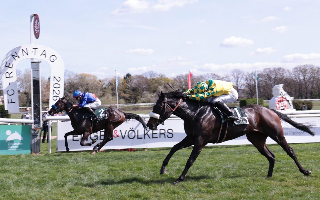 NOCH NICHT BEI 100% – ZWEITE