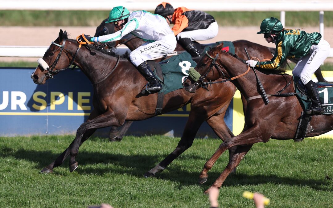 PLATZIERUNG ZUM ABSCHLUSS