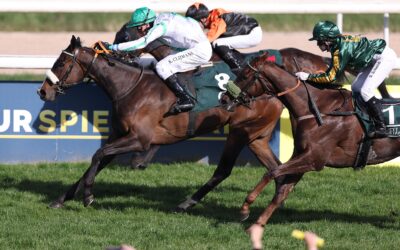 PLATZIERUNG ZUM ABSCHLUSS