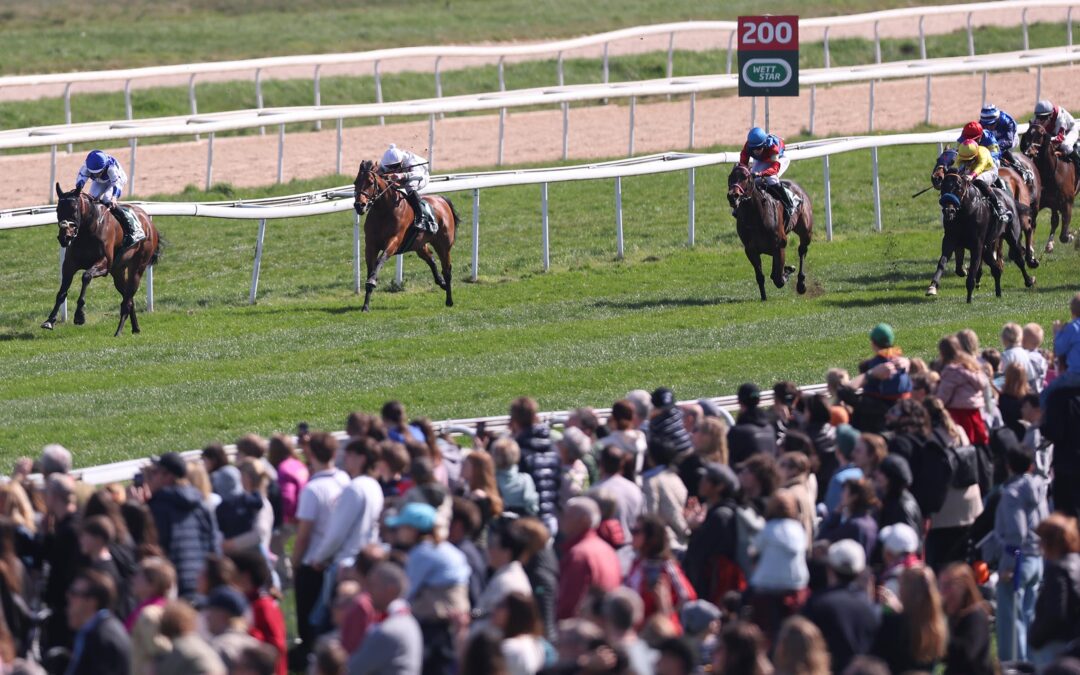 KNAPP AN BLACK-TYPE  VORBEI