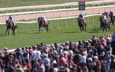 KNAPP AN BLACK-TYPE  VORBEI