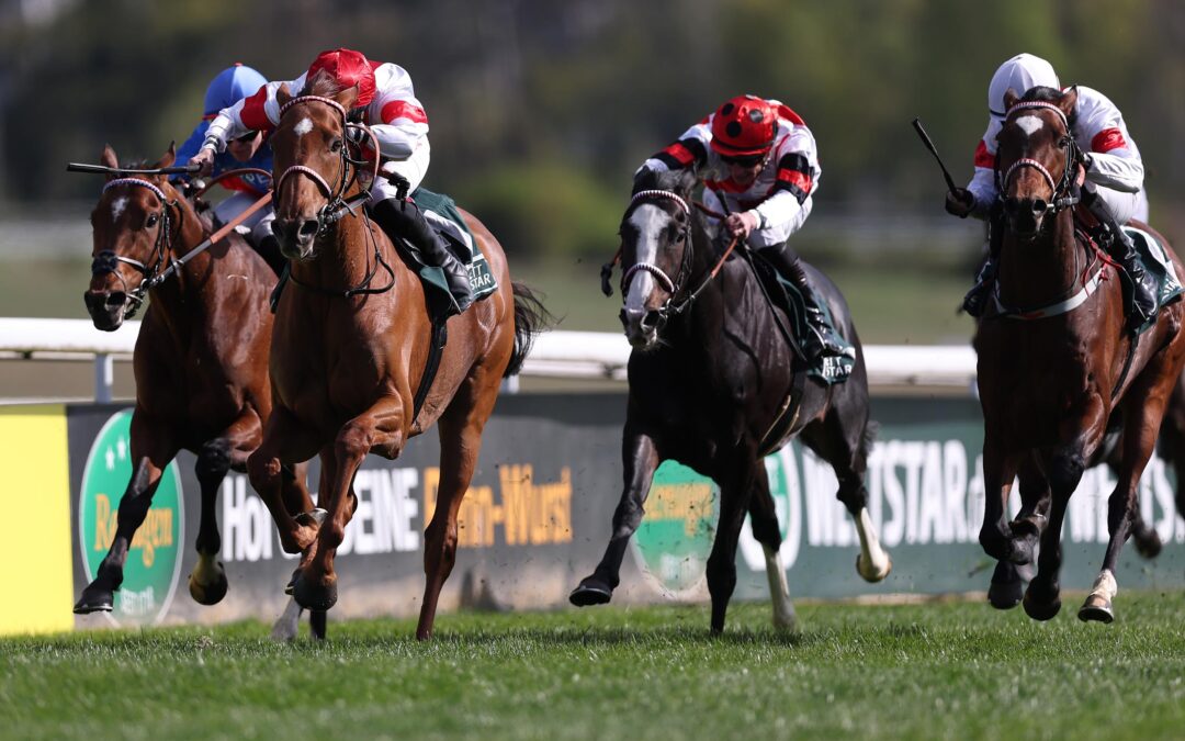 ENZIAN STARKER ZWEITER