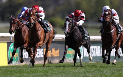 ENZIAN STARKER ZWEITER