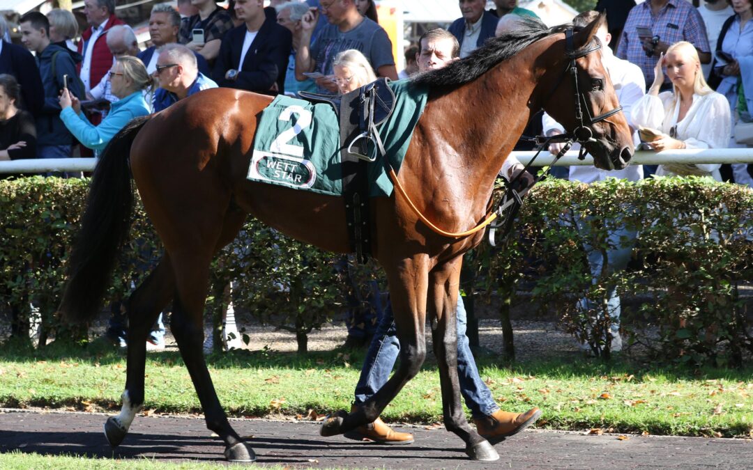 ERSTEN TREFFER IM VISIER