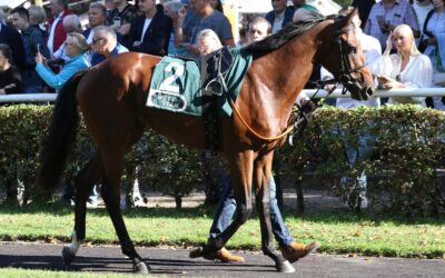 ERSTEN TREFFER IM VISIER