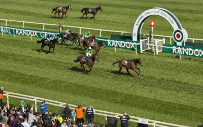 AM ENDE GEWINNT DER “GRÖSSTE”