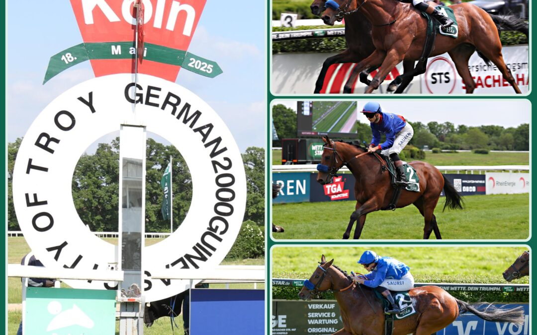 GREWE’S GUINEAS FLUCH