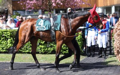 STALLDEBUT IN MÜNCHEN