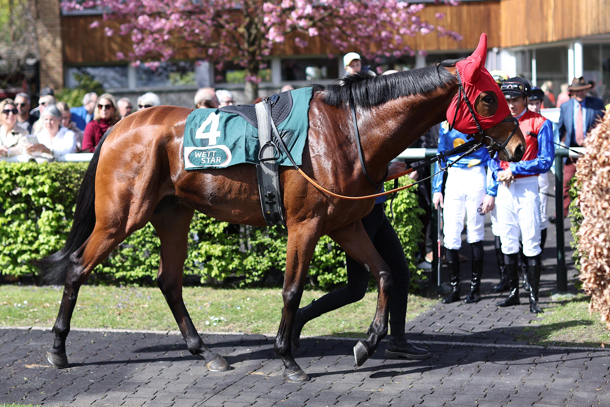 See Ares