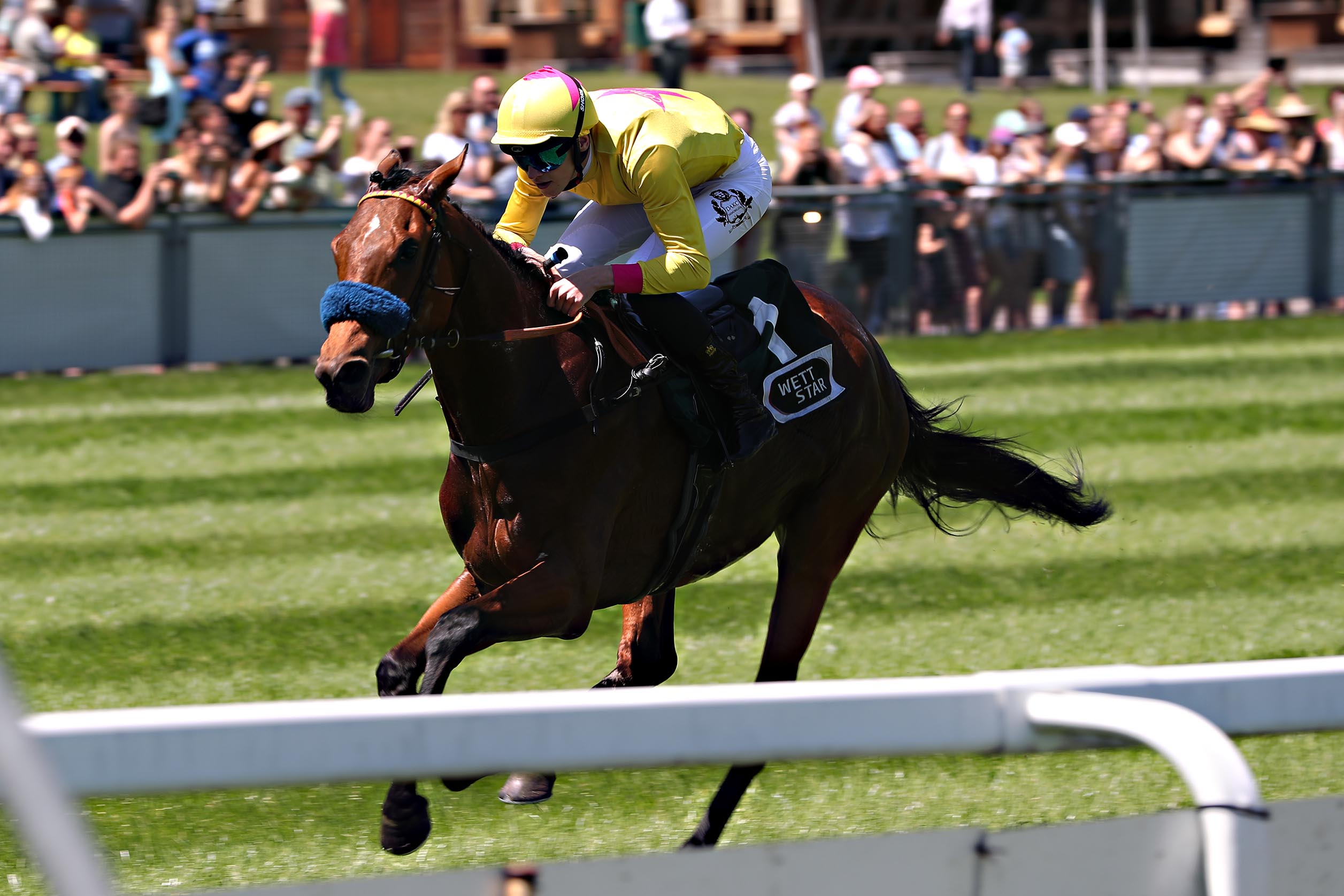 See Ares siegt unter Leon Wolff