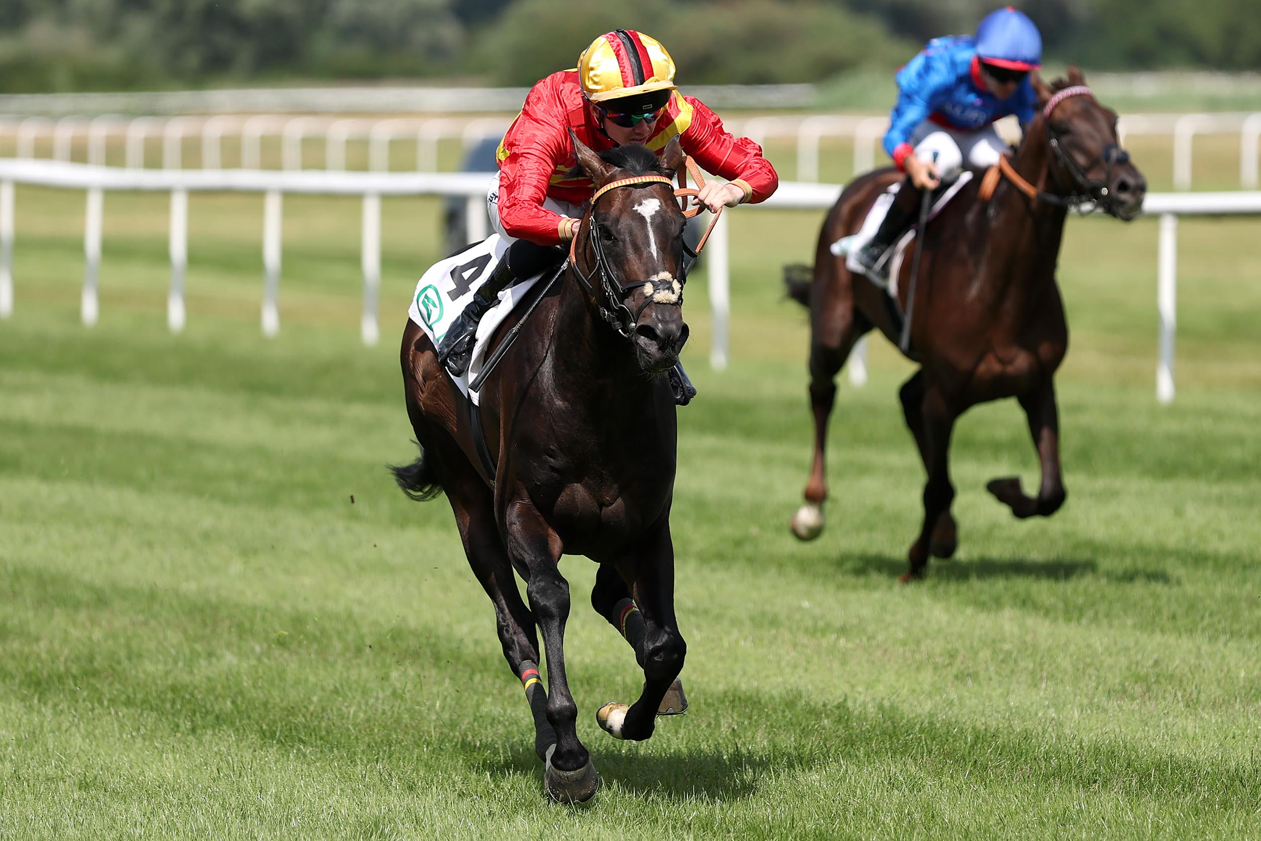 Seguro siegt unter Benjamin Marie im Japan Racing Association Derby-Trial, Gr.3