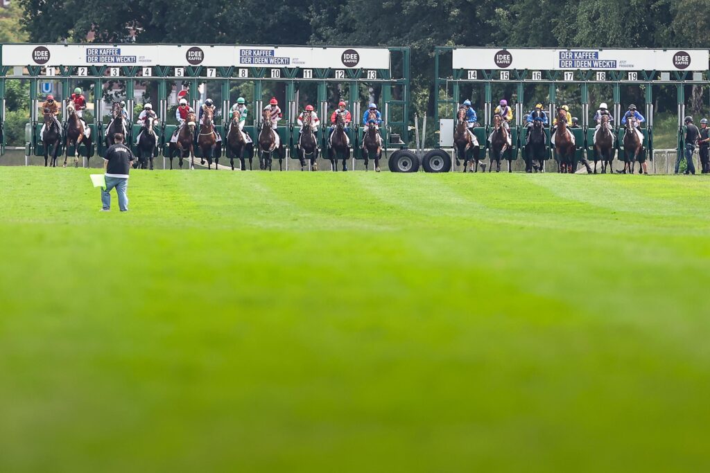 DERBY AUS BOXEN : 8 – 14 – 18
