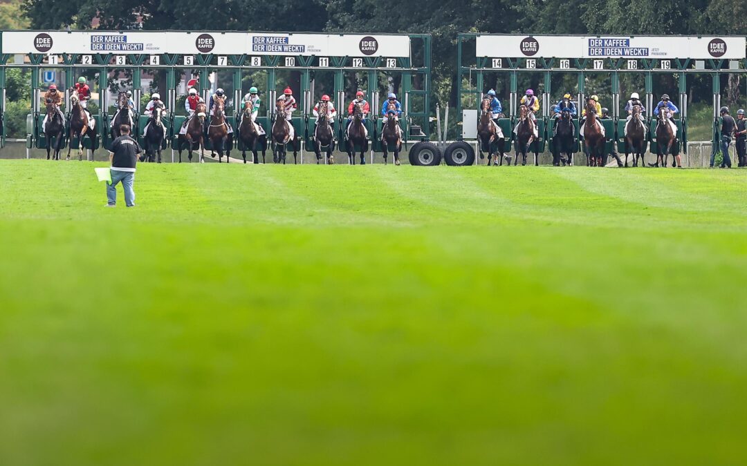 DERBY AUS BOXEN : 8 – 14 – 18