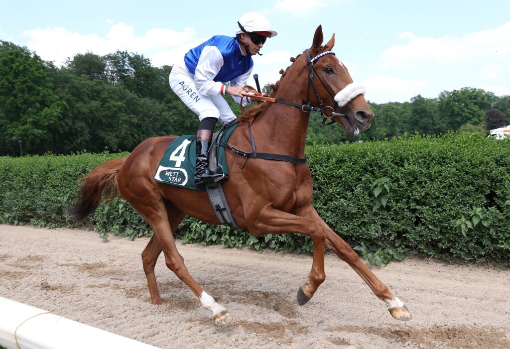 DRITTE BEI HANDICAP debut
