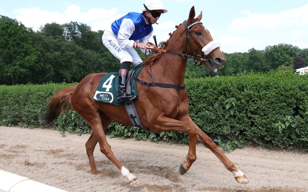 DRITTE BEI HANDICAP debut