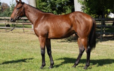 GUTE AUSSICHT IN MÜNCHEN